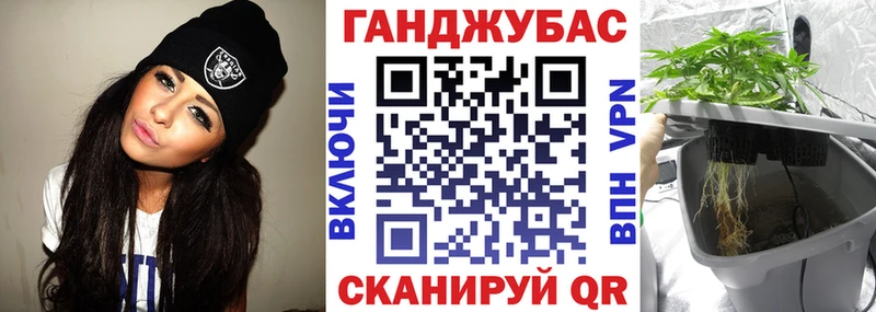 Где купить Стародуб A-PVP  Псилоцибиновые грибы  Cocaine  ГАШИШ 