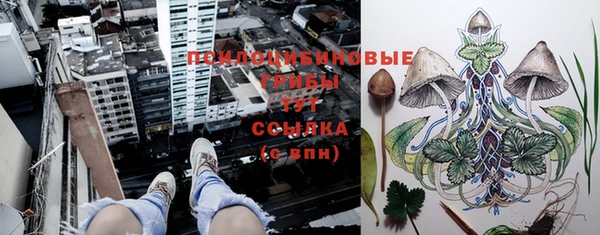 PSILOCYBIN Алексеевка