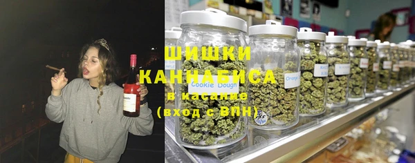 дурь Алексин